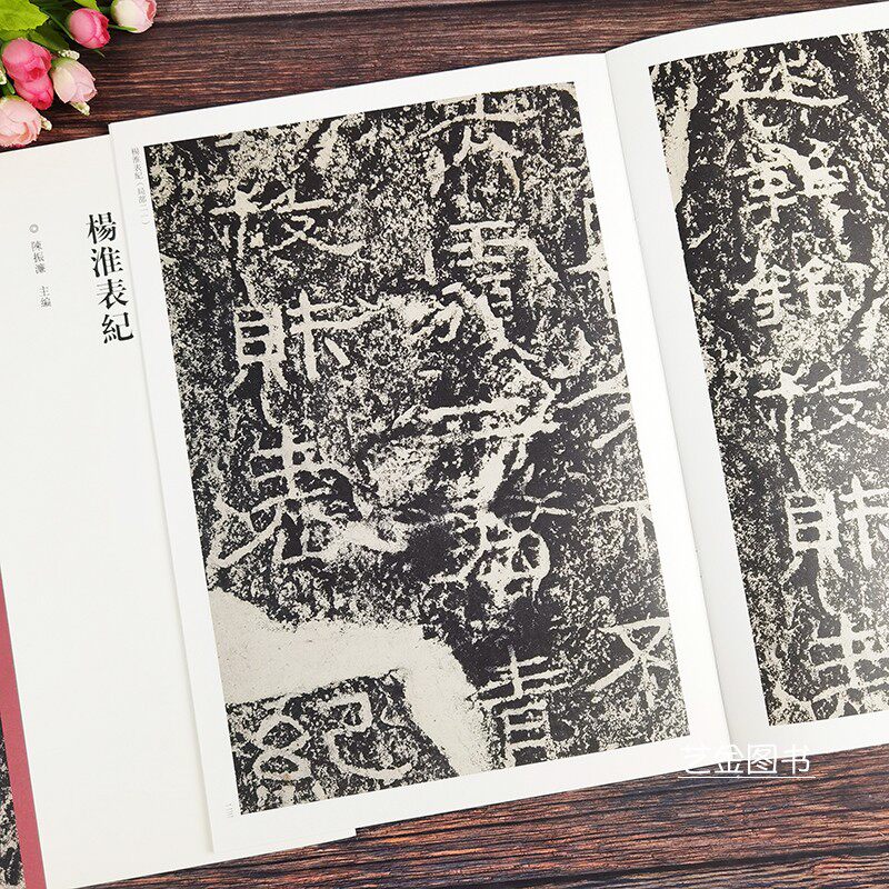 杨淮表记 隶书毛笔字帖原碑帖隶书碑刻拓印字帖中国历代经典碑帖隶书系列陈振濂编历代隶书字帖河南美术出版社 - 图3