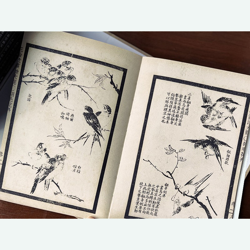 【大32开】中国古代经典画谱集成 三希堂画宝翎毛草虫花卉卷 全8册叶九如 编著近代著名画家学习范本初学入手画法名家范作刻印精良