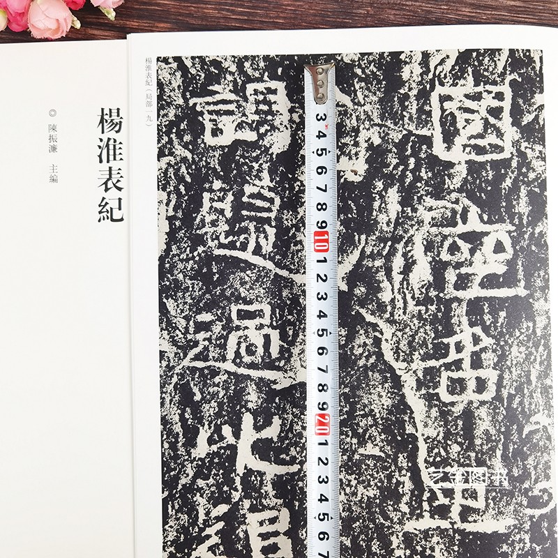 杨淮表记 隶书毛笔字帖原碑帖隶书碑刻拓印字帖中国历代经典碑帖隶书系列陈振濂编历代隶书字帖河南美术出版社 - 图2