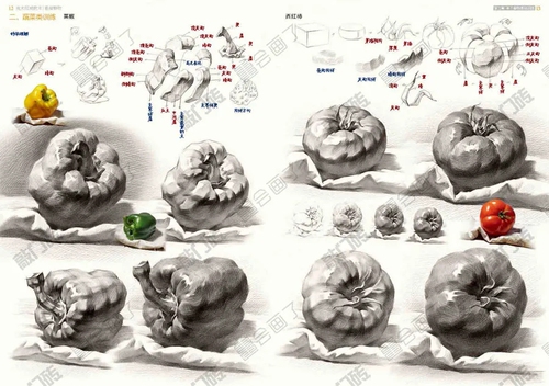 美术权威教本素描静物2021敲门砖李家友零基础初学者适用基础知识单个组合静物基础结构对明暗训练完整稿临摹范本美术绘画教材书籍