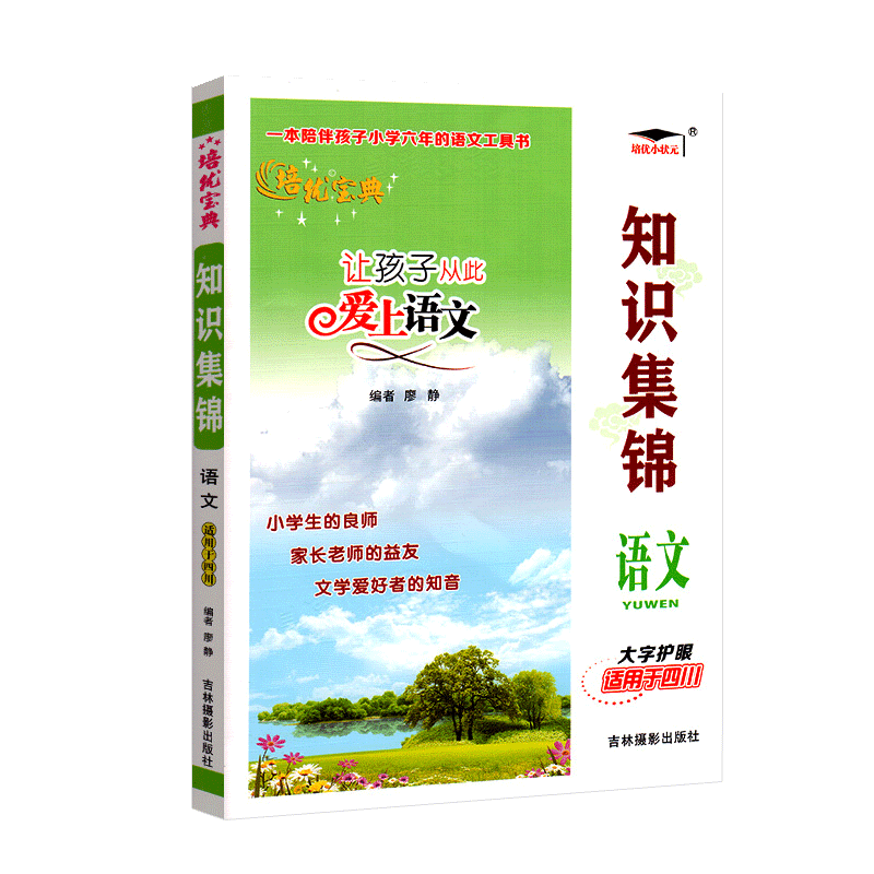 【四川专版】小学语文知识集锦小升初语文人教版核心知识大集结培优宝典小学生四五六年级重点知识基础知识大全-图3