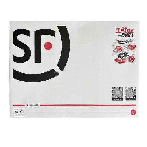 新款顺丰文件封总部同款文件袋加厚防水大号装A4顺丰快递文件信封 - 图3