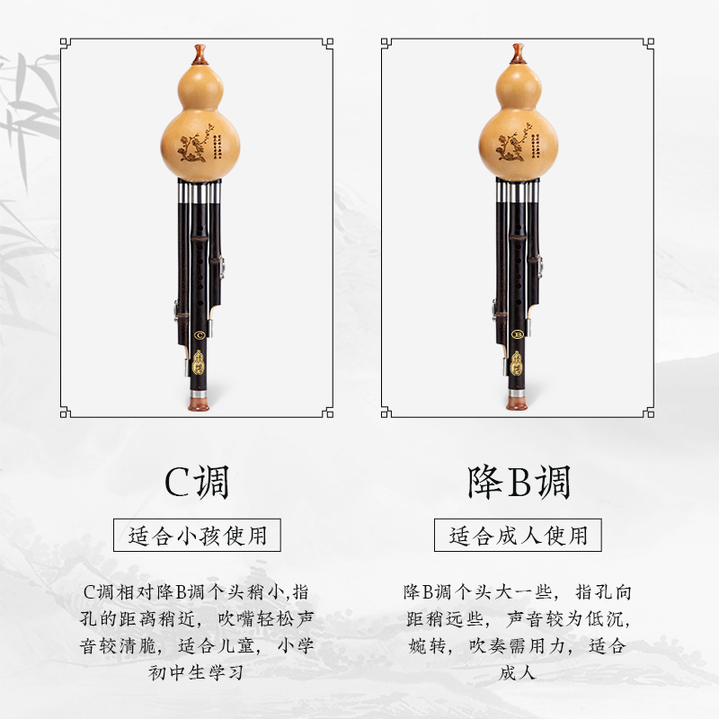 高端葫芦丝乐器初学者专业入门葫芦丝C调小学生儿童专用成人降B调