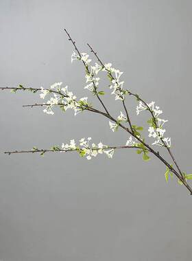 新中式轻奢茶几灯笼果仿真花摆件