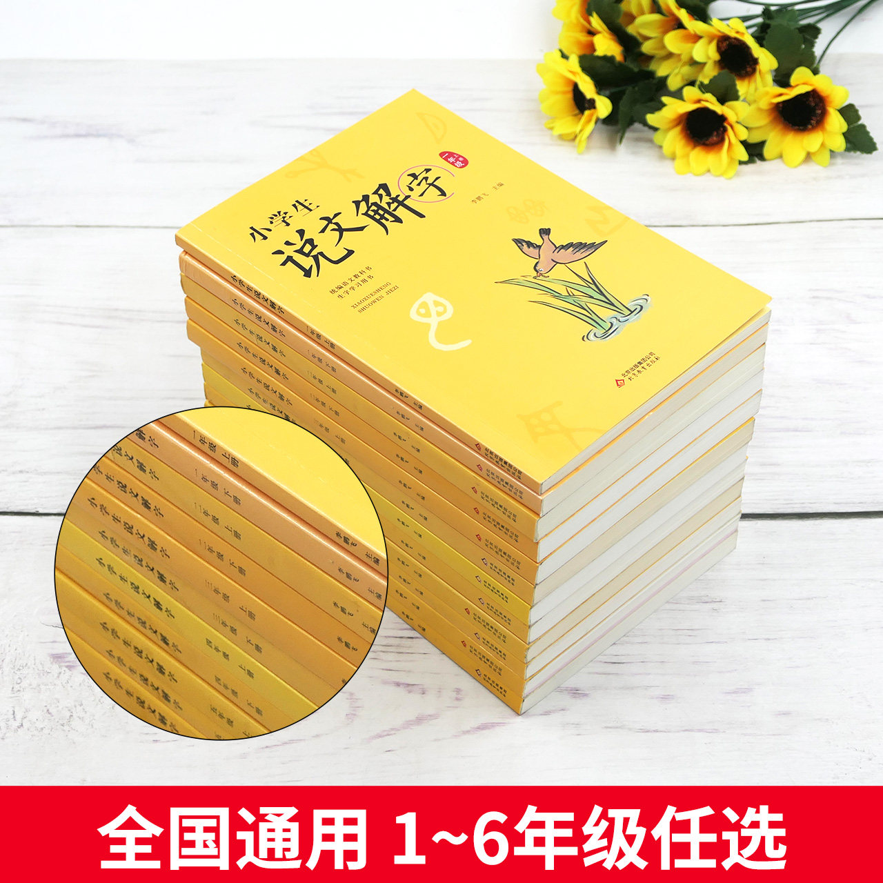 正版小学生说文解字儿童版少儿一二三四五六年级上下册全套彩绘注音版同步课本文字讲解生字学习用书字词通解识字认字生字幼小衔接