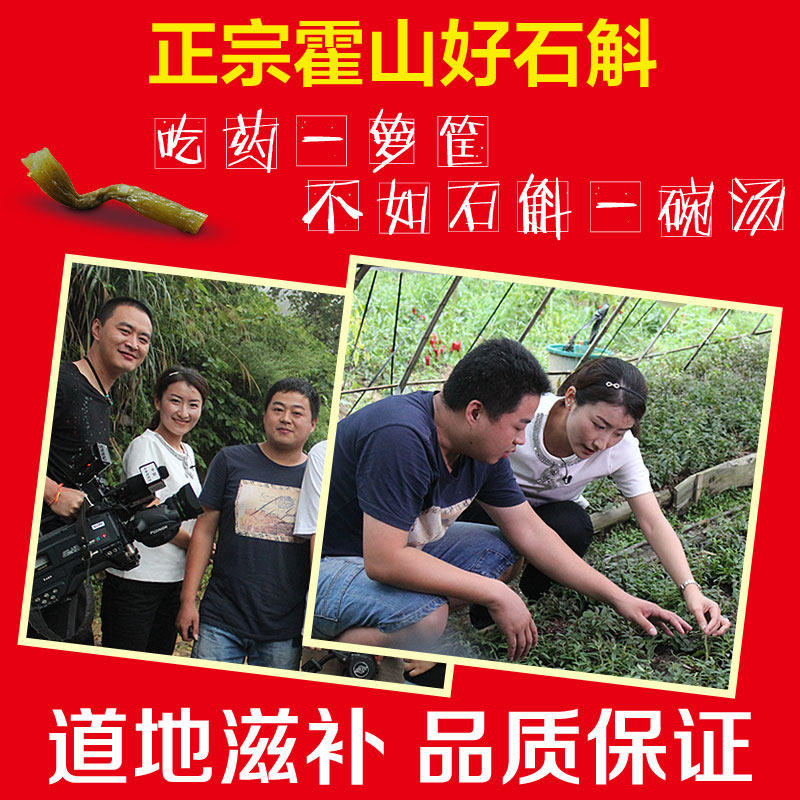 霍之宝霍山铁皮新鲜干条可磨粉枫斗 霍之宝石斛/枫斗
