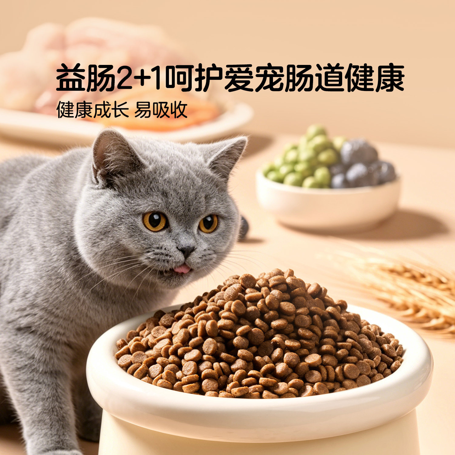 沃尔玛超市代购惠宜Great Value吞拿鱼三文鱼味鲜肉全价幼猫粮1kg