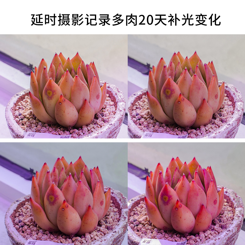 贵翔plus版led室内多肉补光灯 好物说 贵翔plus版led室内多肉补光灯 好物说