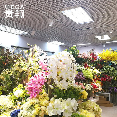 植物生长灯射灯龙舌兰雨林缸室内全光谱仿太阳光轨道植物墙补光灯 - 图2