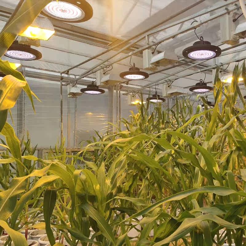 贵翔 全光谱植物生长灯多肉补光灯家用飞碟式LED室内花卉仿太阳光,淘宝优惠券,粉丝福利购,淘宝优惠卷