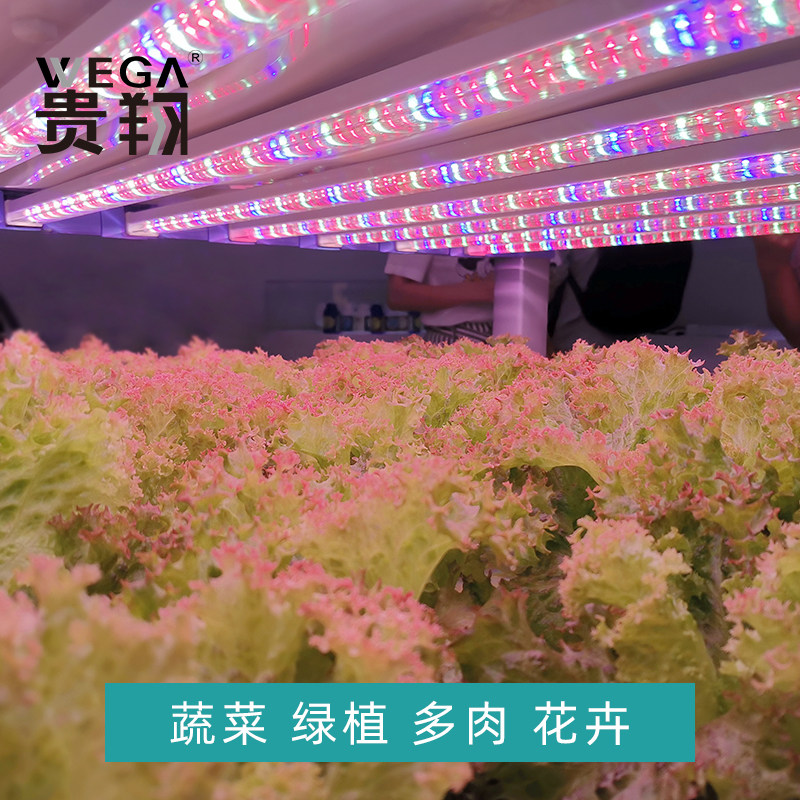 贵翔 红蓝光植物生长灯LED灯管补光灯蔬菜育苗组培实验植物工厂,淘宝优惠券,粉丝福利购,淘宝优惠卷