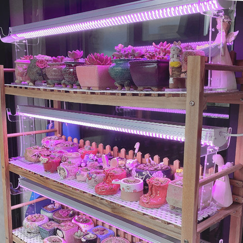 wega贵翔植物生长灯全光谱仿太阳多肉补光上色防徒家用大功率灯管 - 图1