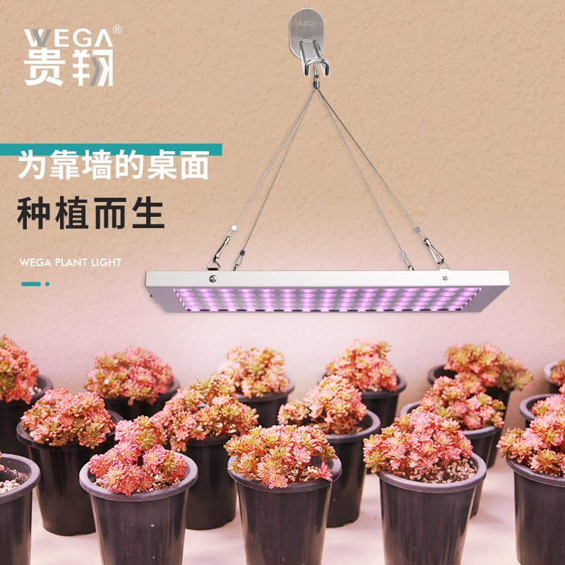 贵翔 多肉补光灯 上色全光谱植物生长灯家用热植花卉LED仿太阳光