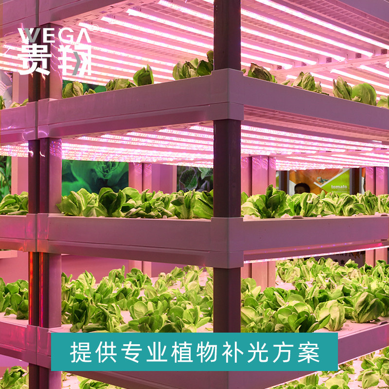 贵翔 红蓝光植物生长灯LED灯管补光灯蔬菜育苗组培实验植物工厂,淘宝优惠券,粉丝福利购,淘宝优惠卷