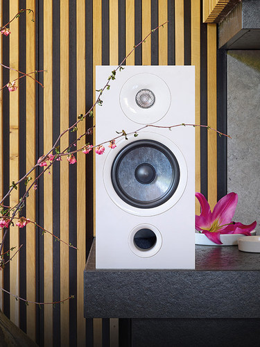 Focal chora806家用HIFI书架式音箱 - 图2
