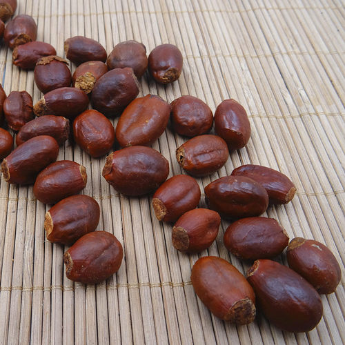 新品荔枝核500g包邮荔仁 枝核 大荔核  荔枝核粉另有桂圆核木瓜籽 - 图1