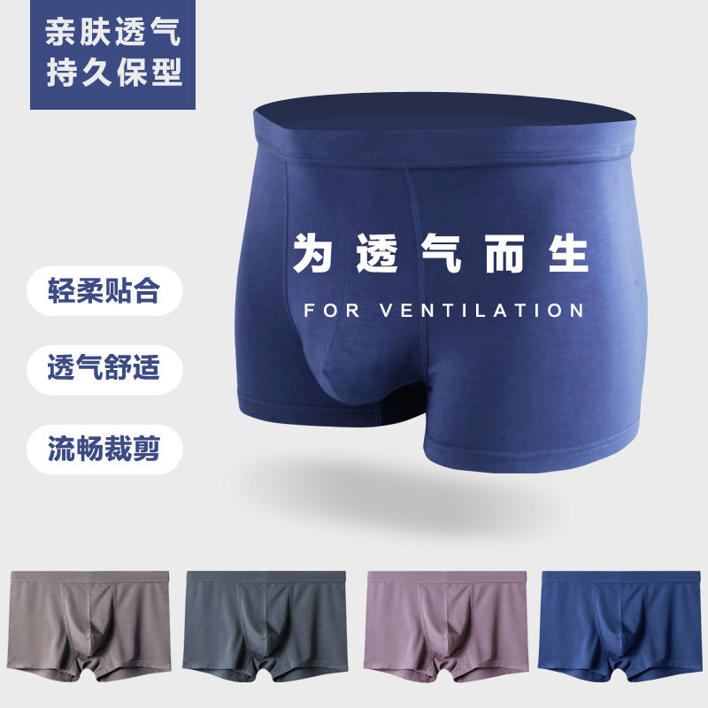 吉杰推荐金来卡4条礼盒装平角裤 ginleica金来卡内裤