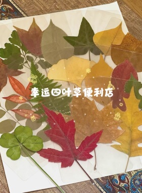 便利店福袋不同形状新年礼物叶子