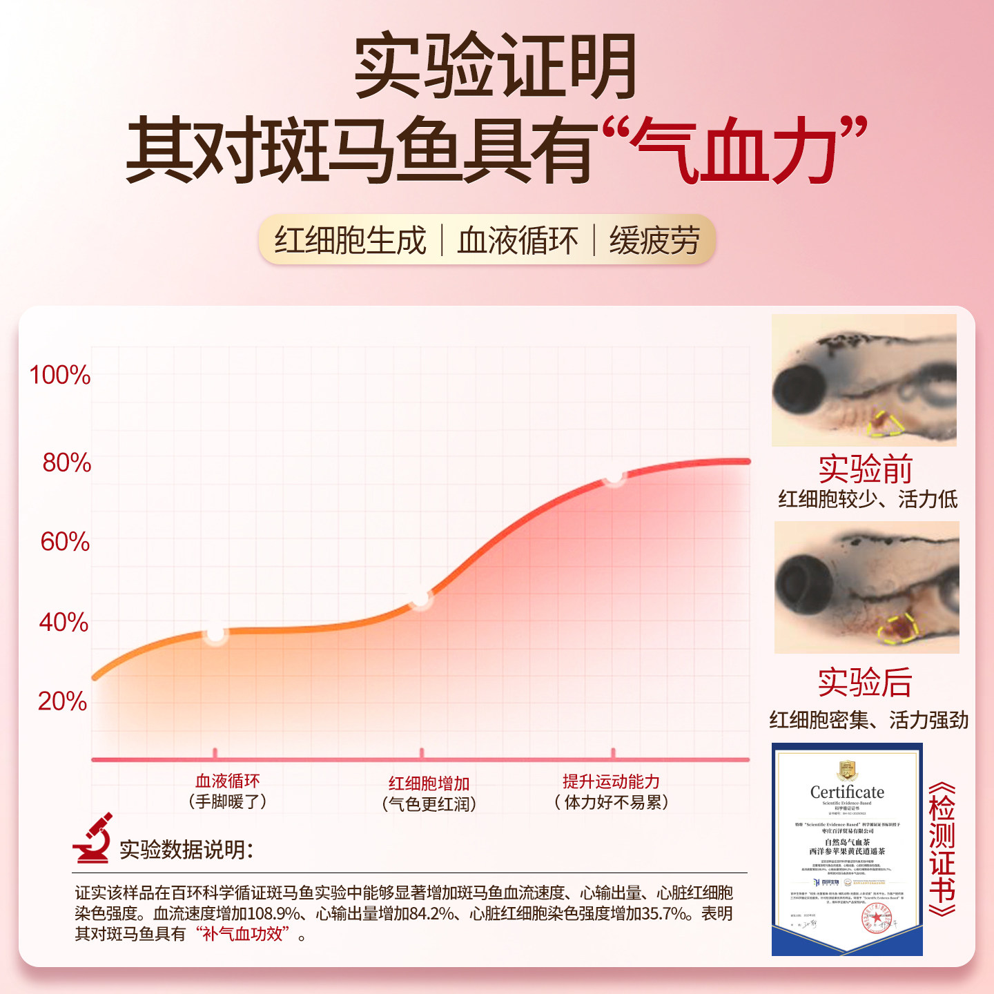 自然岛苹果黄芪水补气血养生茶