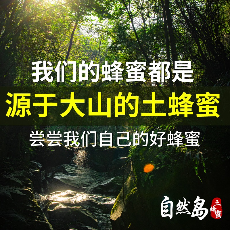 自然岛旗舰店木桶土蜂蜜秦岭农家自产结晶无添加蜂蜜采纯正天然野生花源正宗峰3