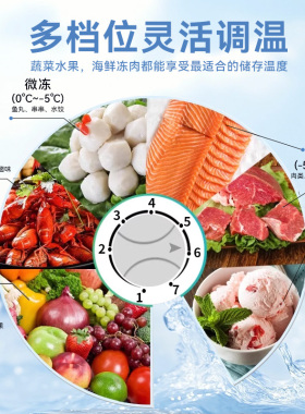 穗凌卧式烧烤熟食保鲜冷冻冰柜