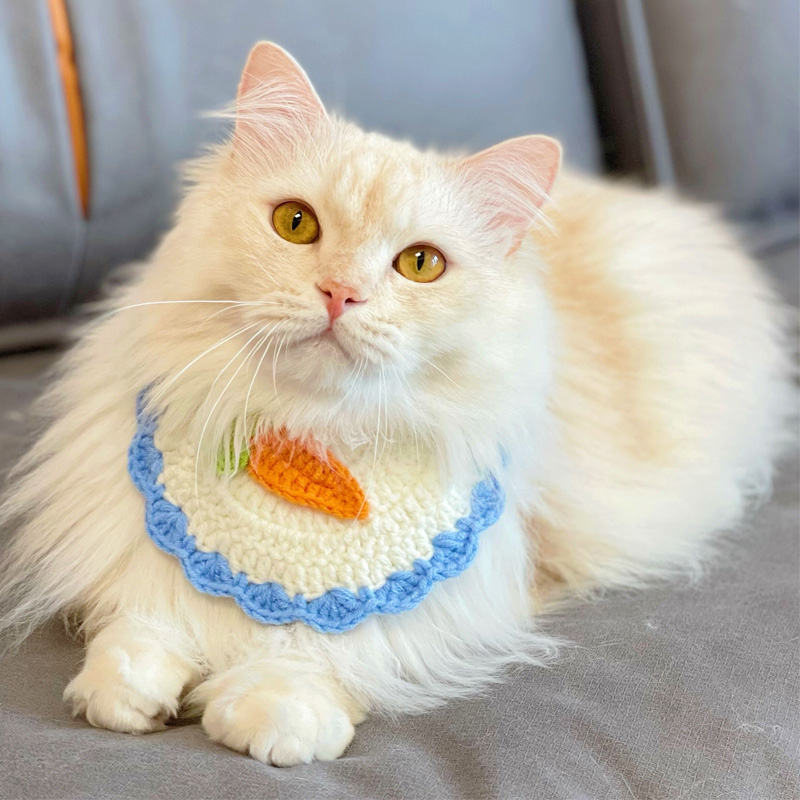 大中小猫小猫推荐品牌 新人首单立减十元 21年6月 淘宝海外 大中小猫小猫推荐品牌 新人首单立减十元 21年6月 淘宝海外