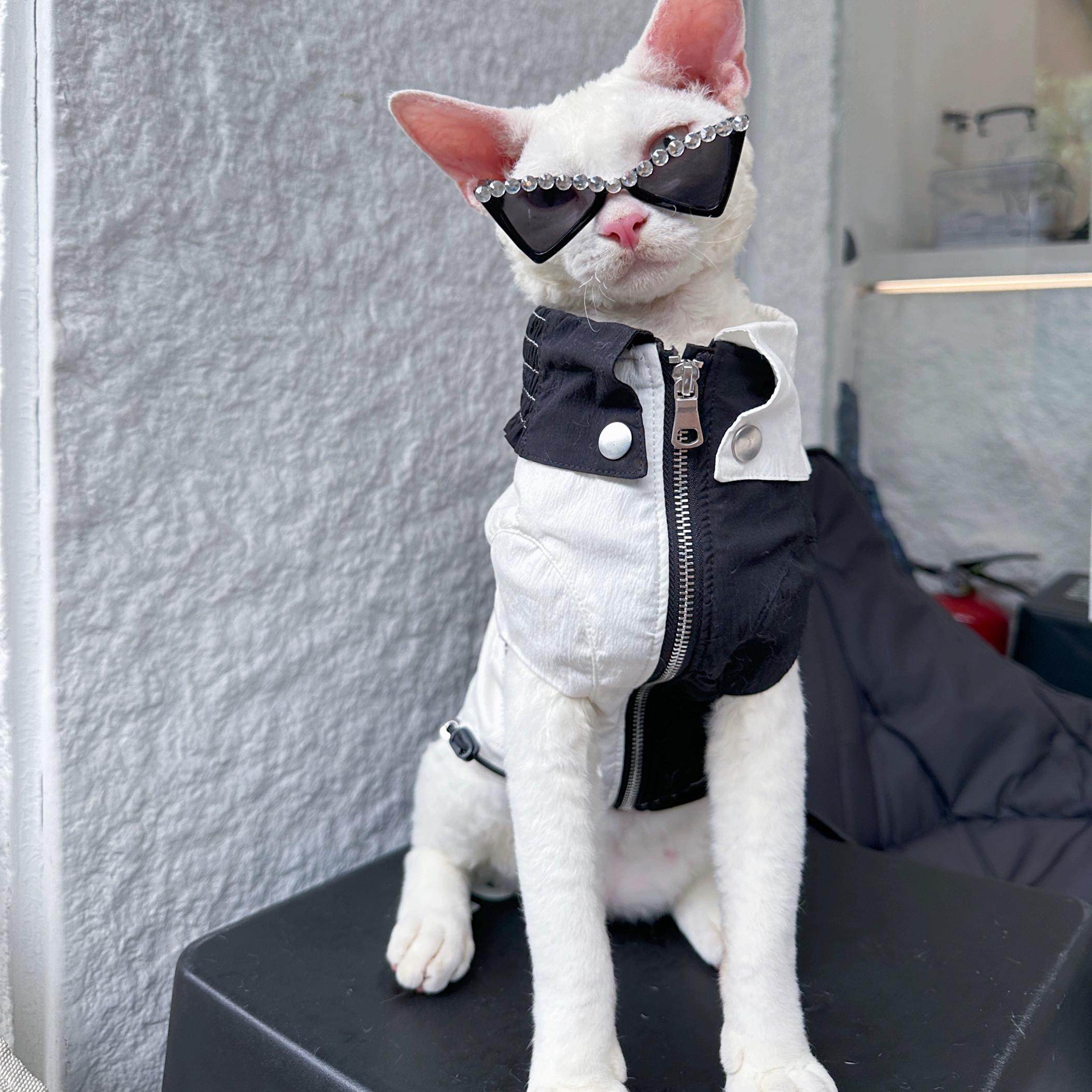 新品宠物高级眼镜狗狗闪钻泰迪约克夏马尔济斯西施三角墨镜宠物,淘宝优惠券,粉丝福利购,淘宝优惠卷