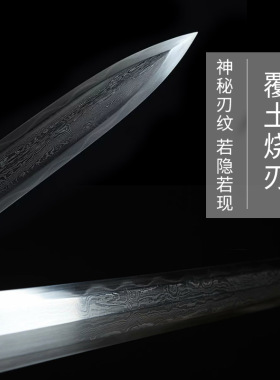 神龙宝剑折叠锻打一体硬件