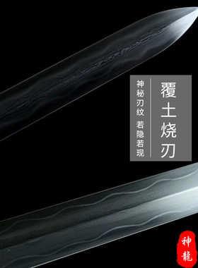 神龙宝剑精细研磨折叠锻打一体剑