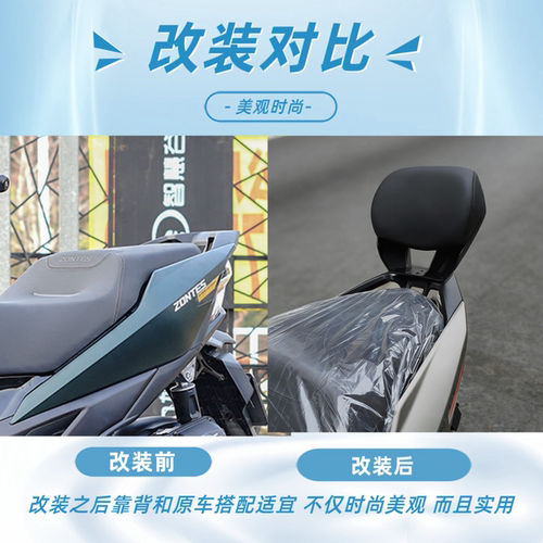 天飞仕适用于升仕150X后靠背专用靠背摩托车改装腰靠尾翼改装配件 - 图0