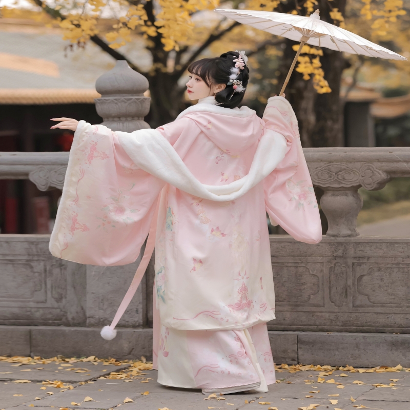 潮艺街【花蝶】汉服加厚冬款毛绒大袖衫古风齐胸破裙女唐风日常穿 - 图2