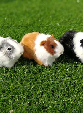 仿真动物鼠学生认知模型