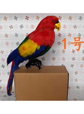 仿真金刚白色葵花鹦鹉羽毛鸟摆件