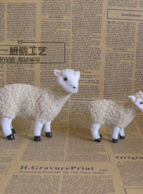 仿真摆件珍珠模型橱窗桌面装饰