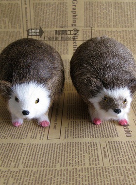 刺猬静态教学认知场景布置模型