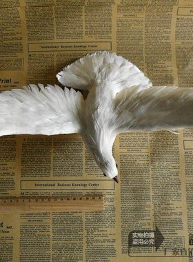 仿真飞翔展会布置婚纱拍照白鸽