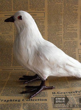 拍摄道具森林系情人节教学和平鸽