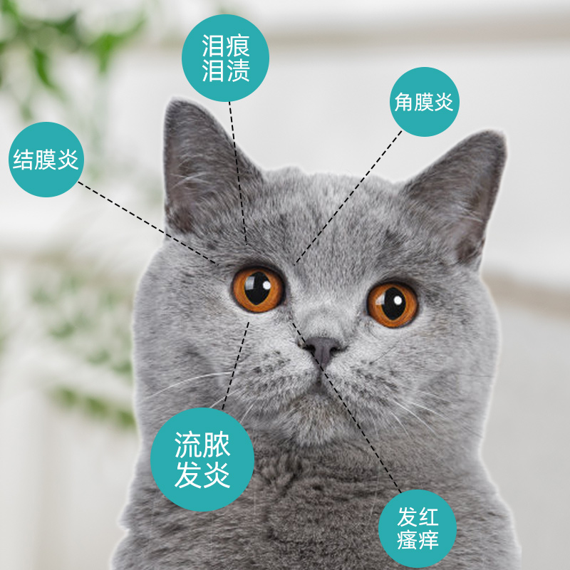 猫咪眼药水宠物眼睛红肿流泪狗狗比熊博美洗眼液抑菌消炎用滴眼液
