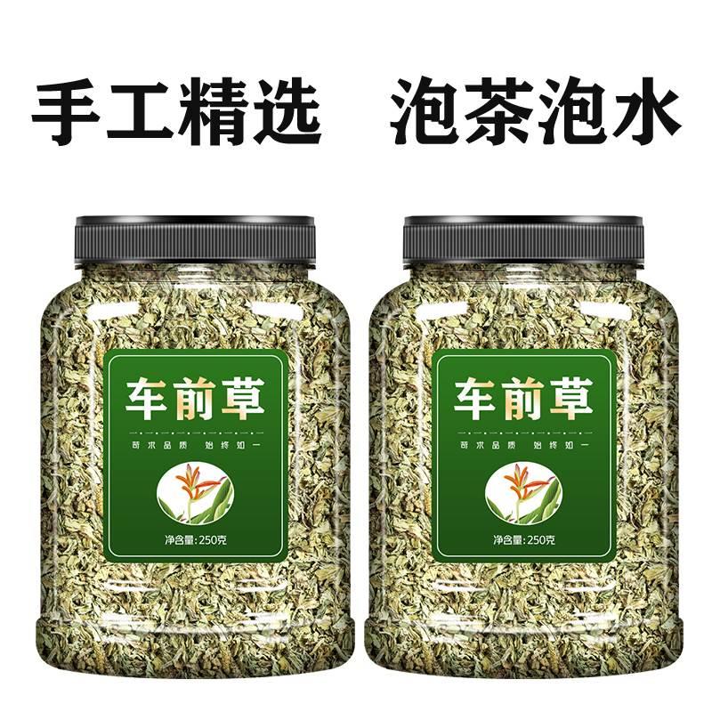 车前草500g克中药材官方旗舰店袋泡茶野生新鲜猫爪草车钱草泡茶水-图3