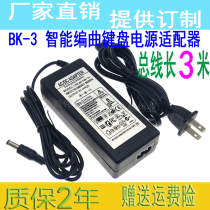 Blue Roland Roolalnd BK-3 Intelligent arranger keyboard power adapter bk3 power supply BK3
