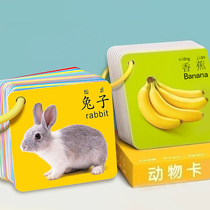 Early teaching flashcards Baby toys Baby Cognitive Card Epistemographic 0-6 months black and white card Colour small card