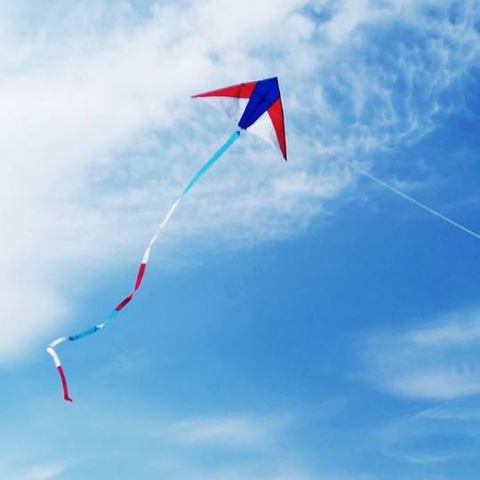 新款红白蓝风筝大人专用超微风易飞初学者成人儿童长尾三角风筝