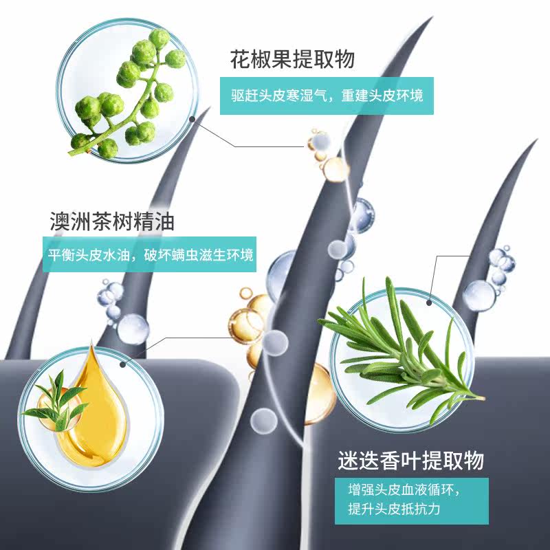 采乐蓝宝瓶除螨去屑去螨虫洗头膏 桔派家居洗发水