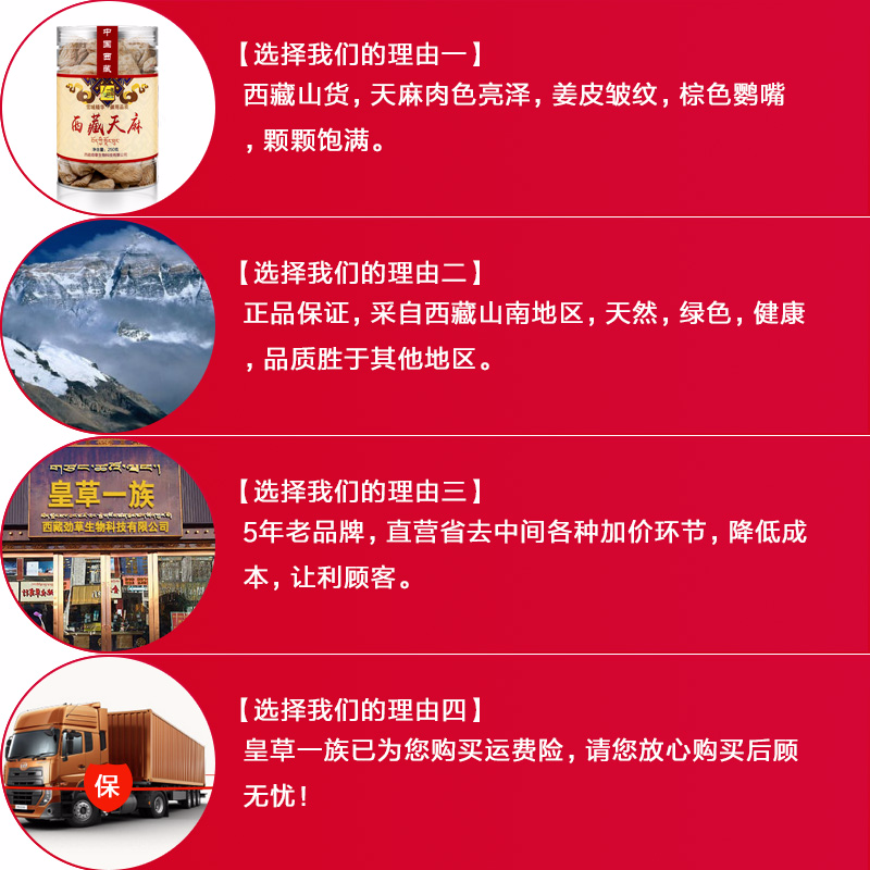  皇草一族天麻
