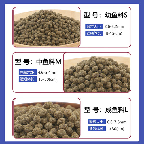 海豚锦鲤鱼饲料鱼粮金鱼专用不浑水观赏鱼通用型颗粒育成增体鱼食 - 图2