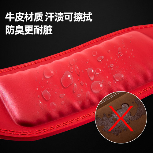 劳拉之星0852健身腰带健身深蹲运动护腰男女举重训练硬拉力量举 - 图1