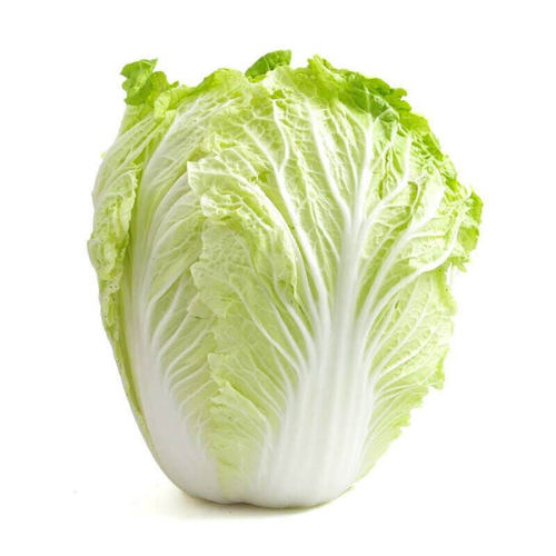 正宗山东胶州大白菜种子种籽孑子菜种冬季籽种适合冬天种的蔬菜 - 图0