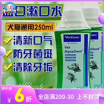 French Vik Yikou Qing pet dog dog mouthwatering dog kittens Oral cleaning of dentifringostomy mouth smells