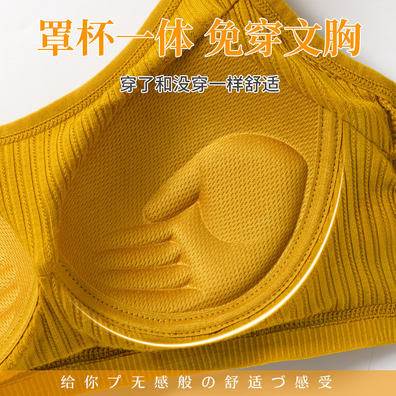 无钢圈聚拢学生高中纯棉抹胸式文胸 佰丝娜文胸
