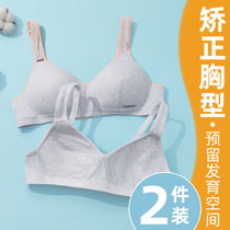 Teenage Girl Lingerie Girls No Steel Ring Junior High School Birth High School Birth With Little Vest Children Girl Girl Bra Hood